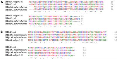 Specialization of the Reiterated Copies of the Heterodimeric Integration Host Factor Genes in Geobacter sulfurreducens